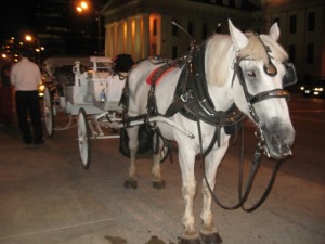 carriage ride