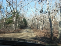 Jacks Road