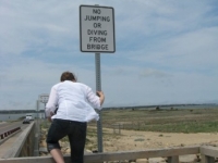 bridge jumper
