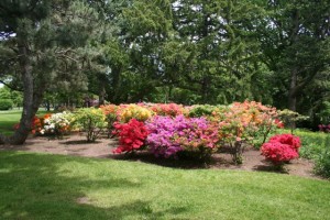 Vineland Experimental Farm