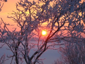 Sunrise on Snow