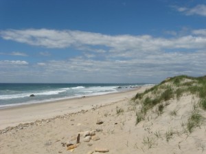 mv-martha's vineyard beach 2