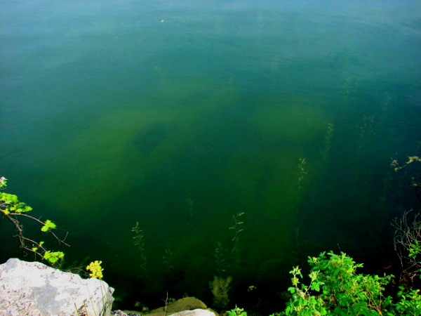 submerged car that inspired a scene in Fatal Inheritance