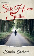 Front Cover of Safe Haven Stalker