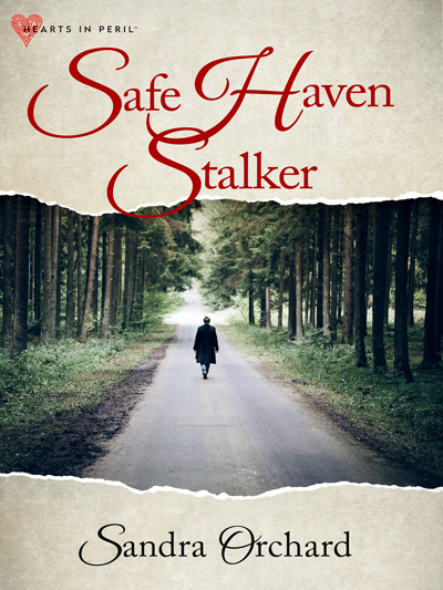 Front Cover of Safe Haven Stalker