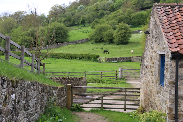 image of a traditional Yorkshire Farm