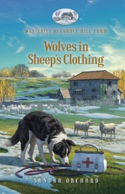 Book Cover for Wolves in Sheep's Clothing