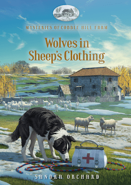 Book Cover Wolves in Sheep's Clothing by Sandra Orchard