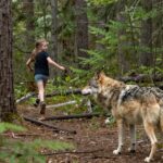 image of a young girl running from a wolf in the woods